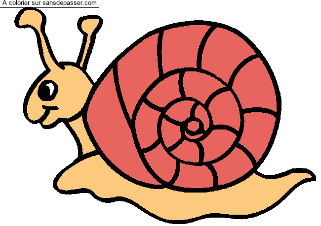 Coloriage Escargot par un invité