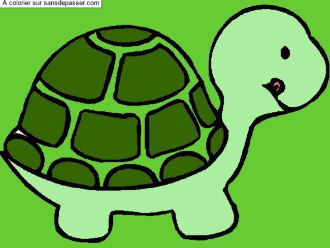 Coloriage Petite tortue