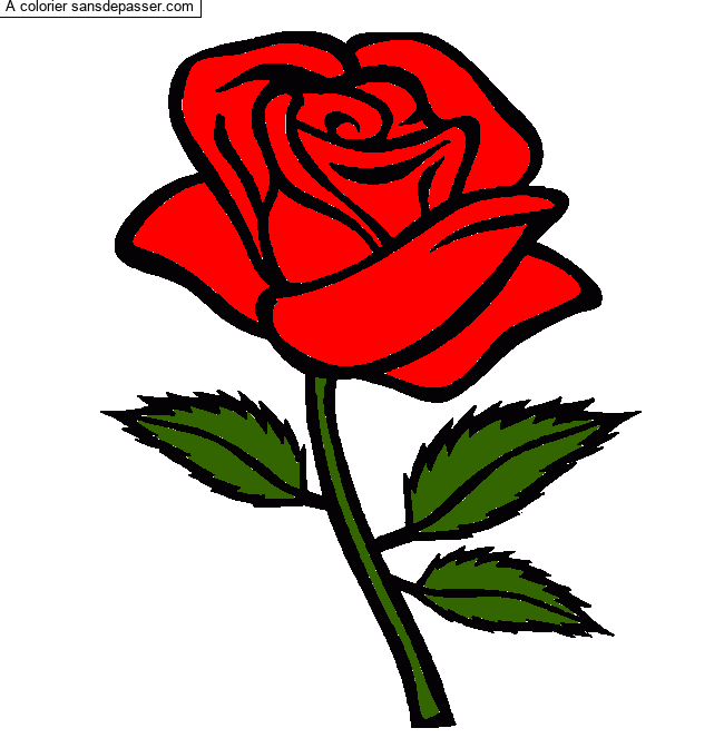 Coloriage Rose rouge