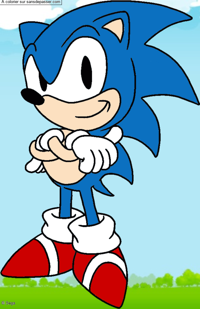 Coloriage Sonic par un invité