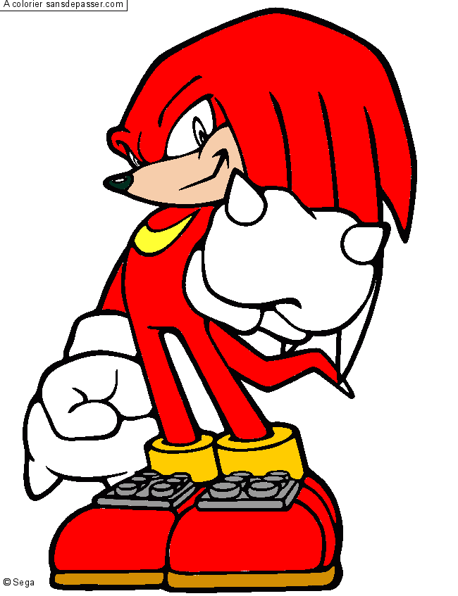 Knuckles montre son poing par un invité