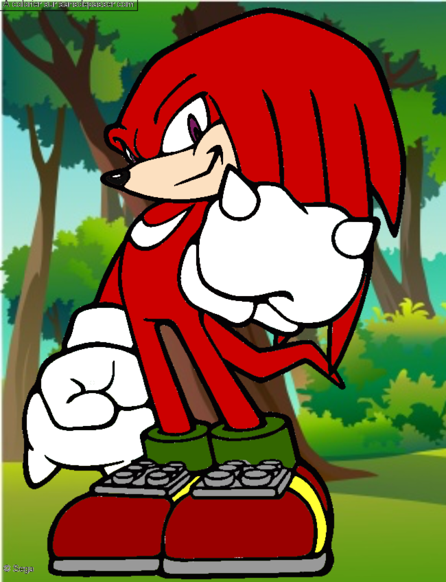 Coloriage Knuckles montre son poing par un invité