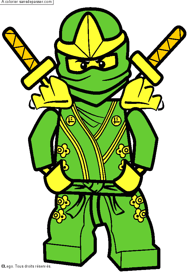 Lloyd - Ninjago vert par un invité