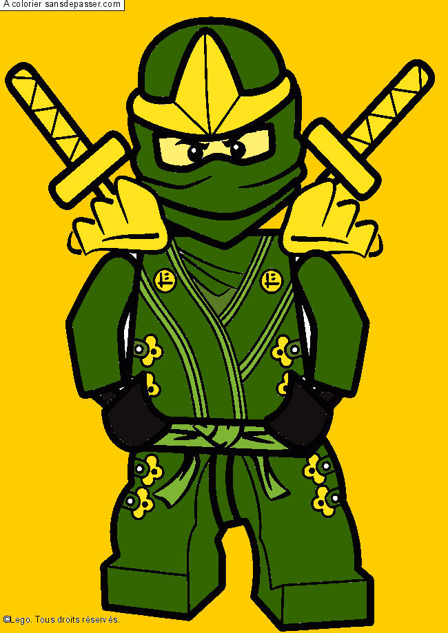 Lloyd - Ninjago vert par un invité