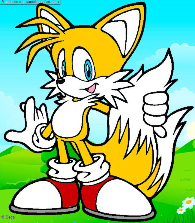 Coloriage Tails par un invité