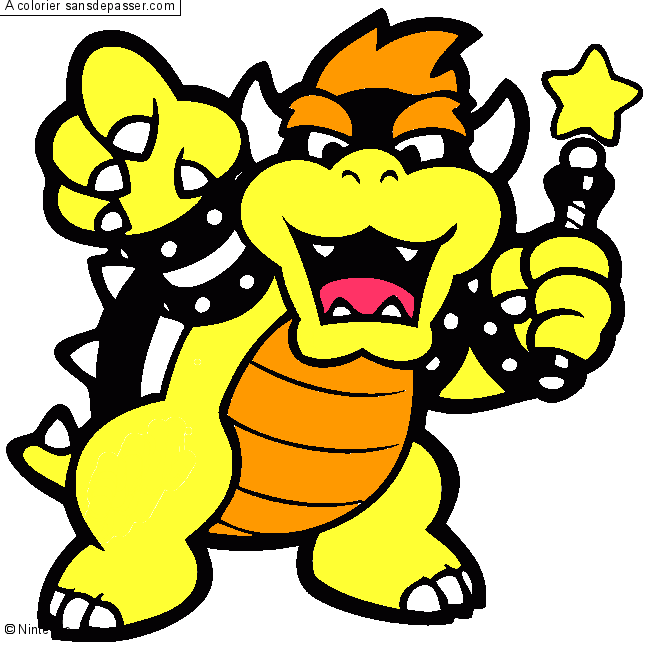 Bowser par un invité