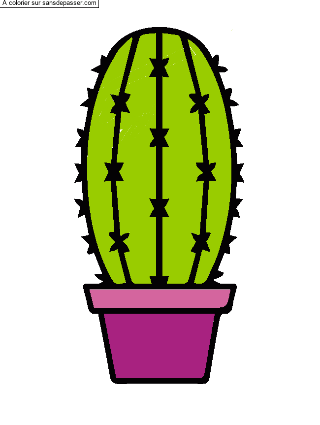 Cactus dans son pot par un invité