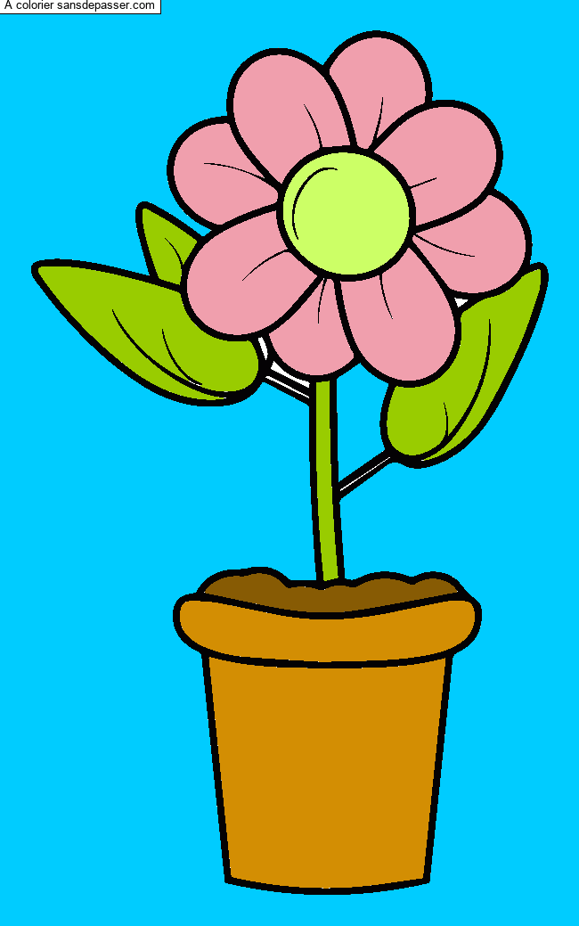 Coloriage Pot de fleur