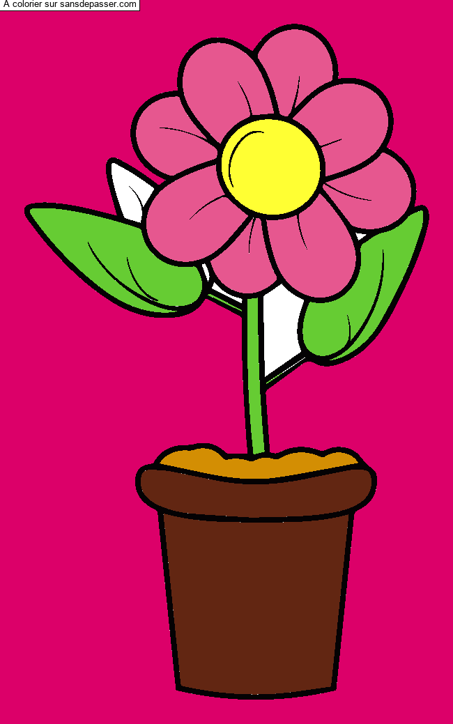 Coloriage Pot de fleur