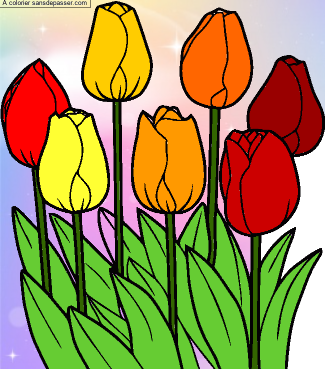 Coloriage Tulipes