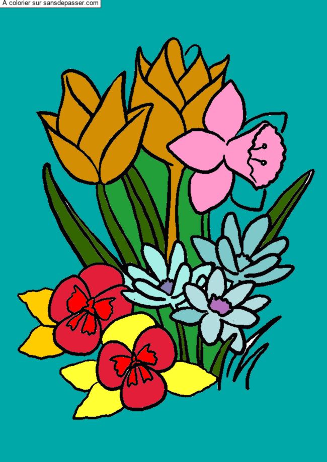 Coloriage Tulipes et jonquilles par un invité