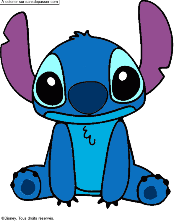 Stitch par un invité