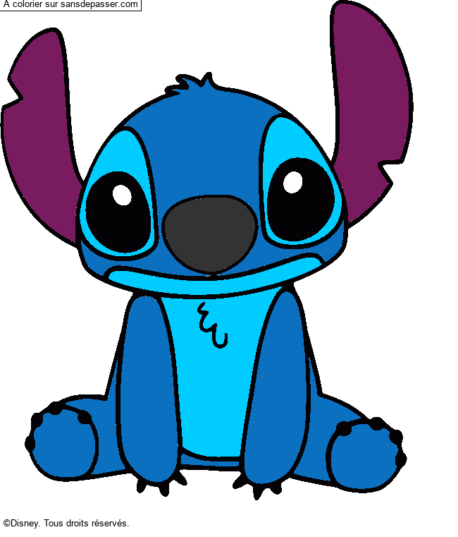 Stitch par un invité