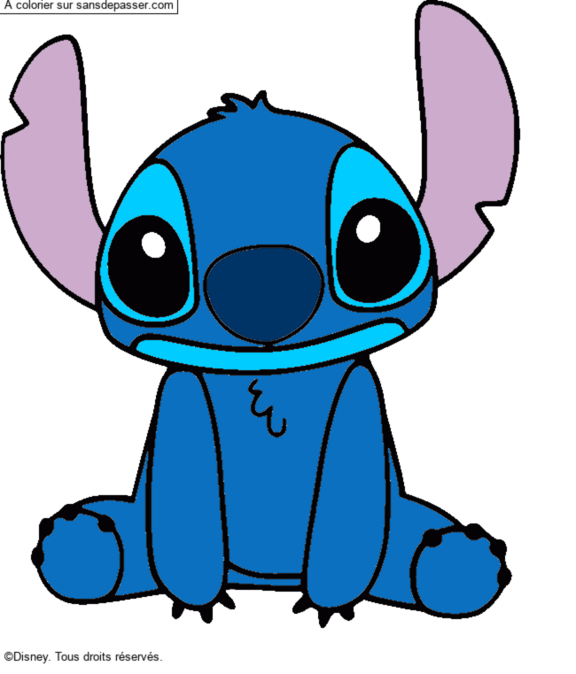 Stitch par un invité