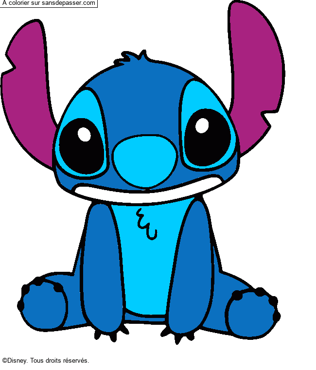 Stitch par un invité