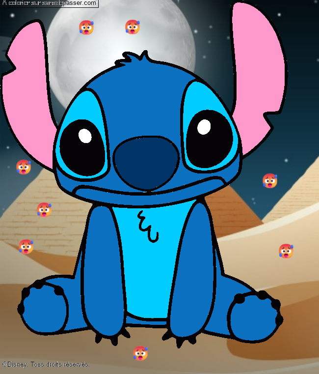 Stitch par un invité