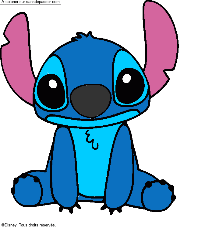 Stitch par un invité