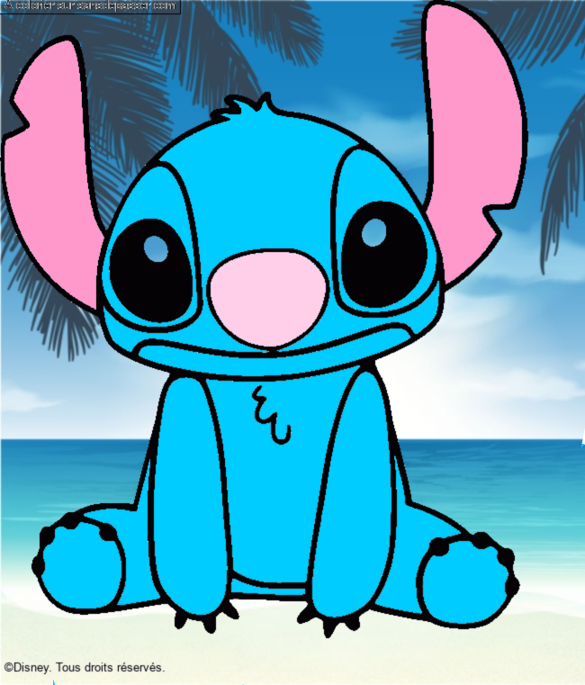 Stitch par un invité