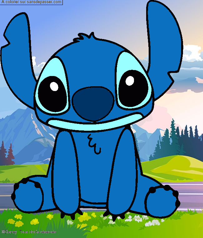 Stitch par un invité