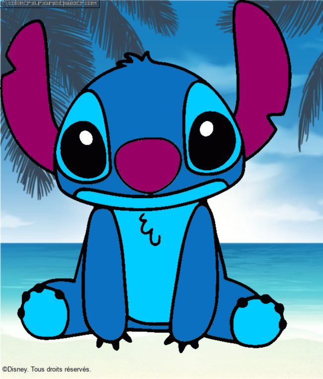 Stitch par un invité