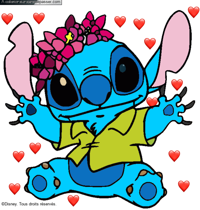 Stitch et sa couronne de fleurs par un invité