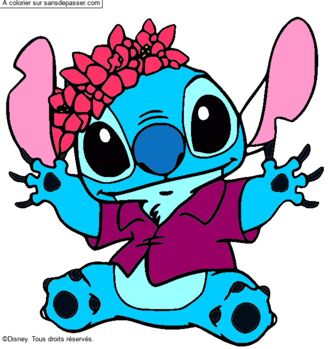 Stitch et sa couronne de fleurs par un invité