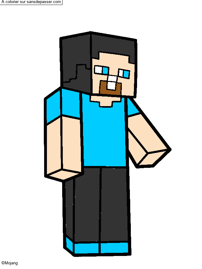 Steve Minecraft par un invité