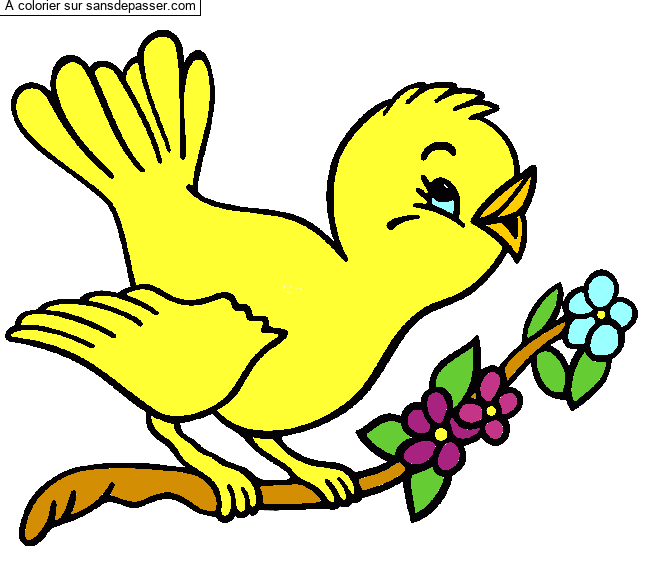 Coloriage Petit oiseau qui chante